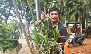 Tìm được loài lan quý hiếm nhờ… bị voi rừng đuổi