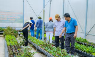 Farmstay gần 22ha ở Đắk Nông đang hoạt động bỗng dưng bị ‘khai tử’