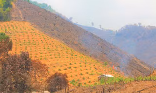 Hơn 27.000 ha rừng tự nhiên bị suy giảm, Đắk Lắk kiểm điểm 90 cá nhân