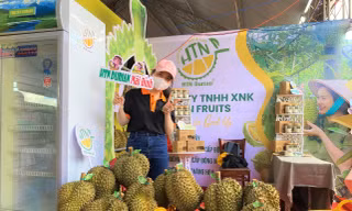 Du khách đổ về 'thủ phủ sầu riêng' xe nối đuôi dài cả cây số, khách thoải mái ăn tại vườn