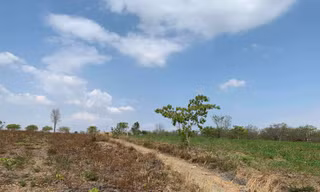 Vụ gần 400ha rừng bị suy giảm: Chủ yếu bị phá, chiếm đất làm rẫy