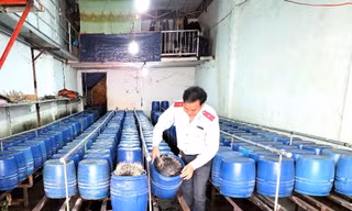 Kiểm tra đột xuất, phạt hai cơ sở sản xuất giá đỗ ở Buôn Ma Thuột