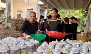 Bà con M’nông, Êđê tỉ mỉ đóng hộp đậu phộng gửi đồng bào miền Bắc