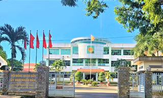 Đắk Lắk chỉ ra vi phạm trong công tác tuyển dụng, bổ nhiệm cán bộ ở huyện Krông Pắc