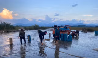 Lúa phải bỏ vì chìm trong nước lũ, dân ngậm ngùi lo cơm gạo ngày mai