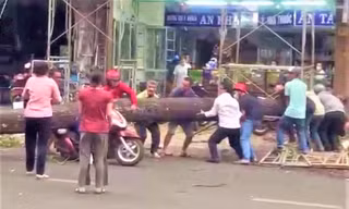 Vụ cây xanh đổ đè người đi đường: Công an vào cuộc điều tra