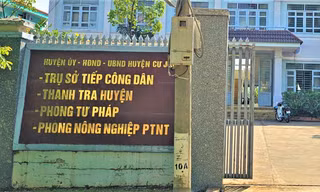 Trưởng phòng Tư pháp ở Đắk Nông xin lỗi, trả lại cây hoa giấy 'thấy héo nên mang về tưới'