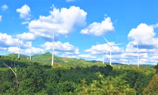 Một công ty điện gió xin phát điện với giá giảm 50%