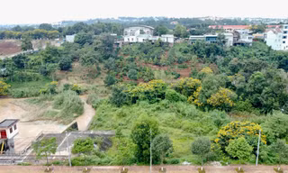 Thanh tra toàn diện việc quản lý, sử dụng gần 2.000 ha đất thành phố Gia Nghĩa