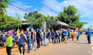 Nhiều lao động Đắk Lắk quay lại các tỉnh phía Nam làm việc