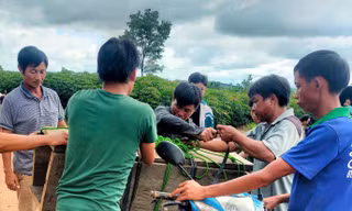 Sự thật vụ đưa quan tài lên rừng vì nhà nghèo không có đất chôn
