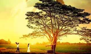 Park Hang Seo, Như Quỳnh, Thái Phiên… đu theo 'Mắt biếc'