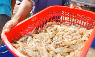 Muốn rút tên, Bộ NN&PTNT phải trình căn cứ