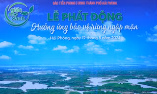 Thông điệp 'Giấc mơ xanh' bên lề Giải Vô địch Golf Quốc gia 2024, Cúp VinFast – Hải Phòng