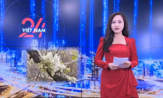 NHỊP SỐNG 24h: Miền Bắc sắp đón nhiều đợt không khí lạnh, nền nhiệt giảm xuống dưới 10 độ C
