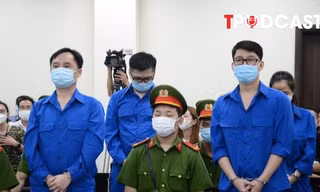 HÌNH SỰ: Thu lợi 136 tỷ đồng từ thao túng chứng khoán, Chủ tịch Louis Holdings kháng cáo gì?