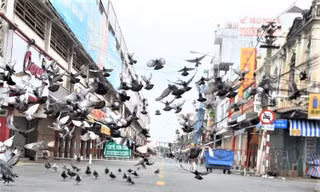 Nhiều chợ lớn ở Bình Dương vẫn ‘cửa đóng then cài’