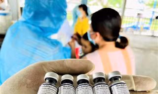 Giáo viên, học sinh và phụ huynh 'khóc ròng' vì bị ép tiêm vắc xin
