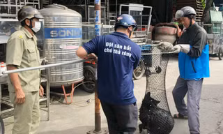 Vụ 6 người bị chó cắn ở Bình Phước: Một người tử vong