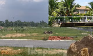 Bình Dương nở rộ hàng loạt công trình 'khủng' xây dựng không phép 