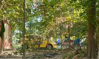 Chiếc xe taxi đậu trước cổng đình 