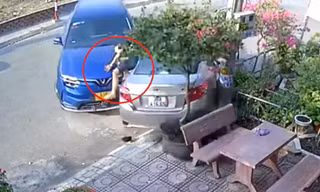 Điều khiển ô tô đâm 'đối thủ' chơi bida 