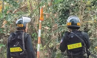 Công an bao vây vườn cam bắt kẻ trốn truy nã 