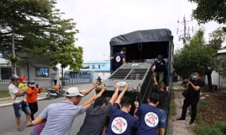 Giải cứu 7 cá thể gấu có màu lông hiếm lạ nuôi nhốt gần 20 năm ở Bình Dương