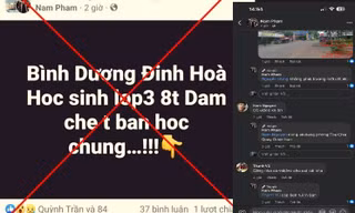Bình Dương tìm người tung tin đồn ‘học sinh lớp 3 đâm chết bạn’