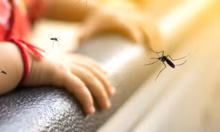 Bé trai 7 tuổi tử vong do sốt xuất huyết Dengue 
