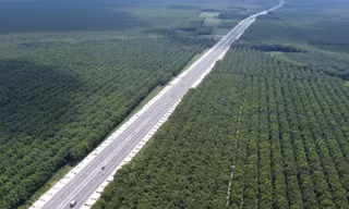 Ngắm đường dài 50km nối Bình Dương, Bình Phước, Đồng Nai sắp thông toàn tuyến