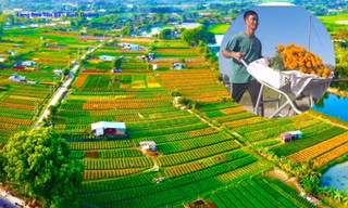 Ngắm 'thủ phủ hoa Tết' ở Bình Dương từ trên cao
