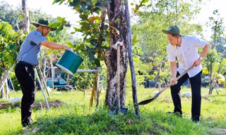 Vườn cây ăn trái của cán bộ, viên chức Bình Dương được xác lập Kỷ lục Việt Nam
