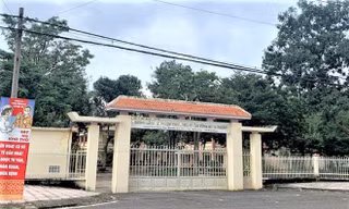 Biển thủ công quỹ, nữ kế toán trưởng trường học lĩnh 15 năm tù