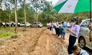 Sẽ đề xuất xử lý doanh nghiệp 'làm trò' sốt đất tại Bình Phước