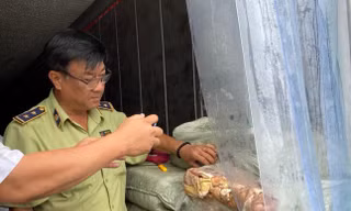 Kịp thời phát hiện gần 20 tấn thịt hôi thối trong 5 thùng container