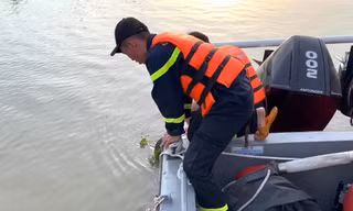 Tìm được thi thể 3 nữ sinh mất tích trên sông ở Bình Dương