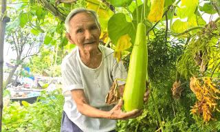 Cụ ông 100 tuổi vẫn vác nặng, uống bia, đi bộ và trồng rau 