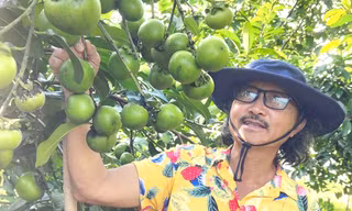 Cận cảnh vườn cây ăn trái ‘độc nhất vô nhị’ ở Bình Dương