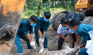 Bình Phước gồng mình ứng phó dịch COVID-19, sốt xuất huyết, dịch tả lợn châu Phi