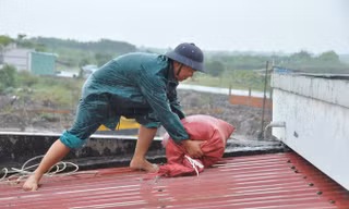 Dân quân tự vệ dầm mưa chằng chống nhà cửa chống bão