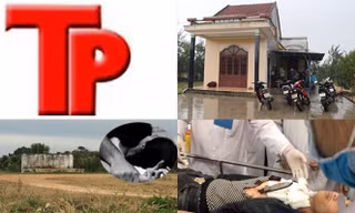 Bản tin Hình sự 18H: Thiếu nữ đi chơi đêm bị hiếp dâm tập thể