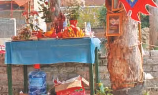 'Thần rắn' đã chết