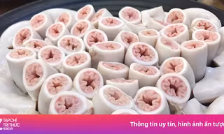 Hàng nghìn con heo mới có 1 con có lòng xe điếu, nhưng chỉ dài khoảng 1 m