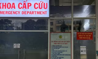 TPHCM: Sức khoẻ nạn nhân bị cây sao đè trúng ở quận 1 ra sao?
