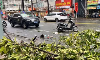 Nhánh cây rơi trên đường ở TPHCM, một phụ nữ tử vong