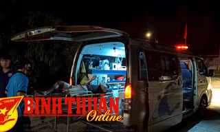 Trâu 'điên' húc người ở Bình Thuận