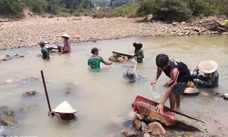 Người dân Quảng Nam đổ xô xuống sông đãi cát tìm vàng