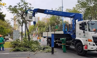 Chặt hạ, di chuyển hơn 200 cây xanh khu vực nút giao thông An Phú