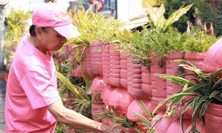 Ông lão ở TP.HCM 'nhuộm hồng' căn nhà, làm điều được cả phố ủng hộ